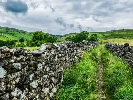 Body - Mind - Spirit: Sleep Better