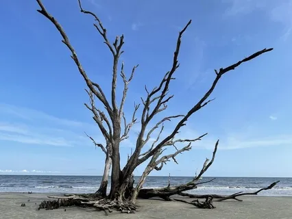 Body Positivity Visualization