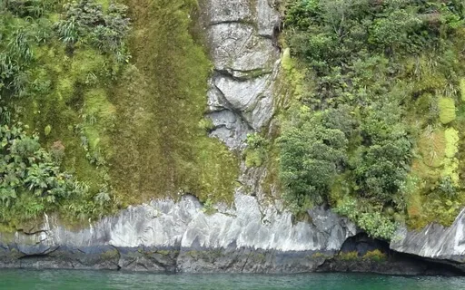 Body Regulation Through Movement