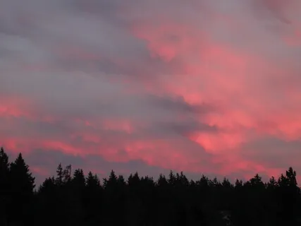 Body Relaxation For Sleep