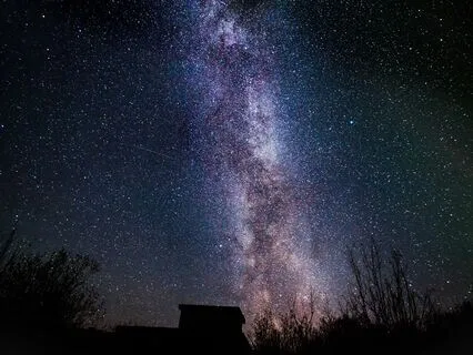 Body Scan - an insight into the True experience of our Body!