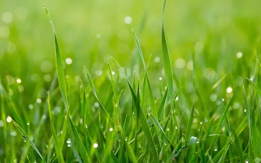 Body Scan 10 Minutes 