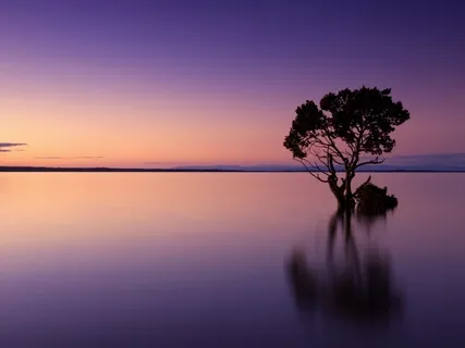 Body Scan For Relaxation & Clarity