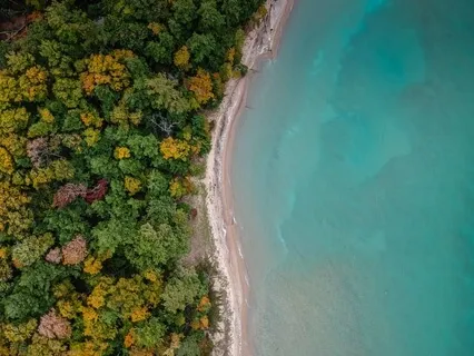 Body Scan For Relaxation
