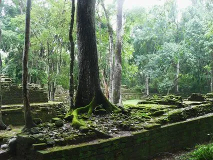 Body Scan 15 Minutes