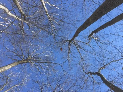 Body Scan To Ease Anxiety