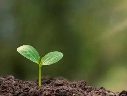 Body Scan - A Mindfulness Practice