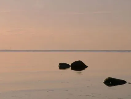 Body Scan And Compassion