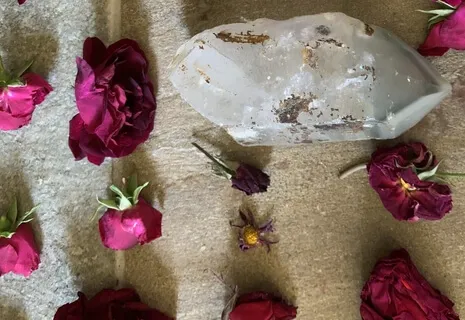 Body Scan & Forgiveness