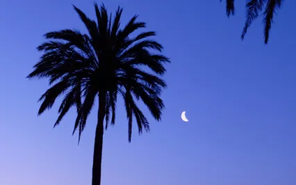 Body Scan And Sound Bath For Restorative Sleep