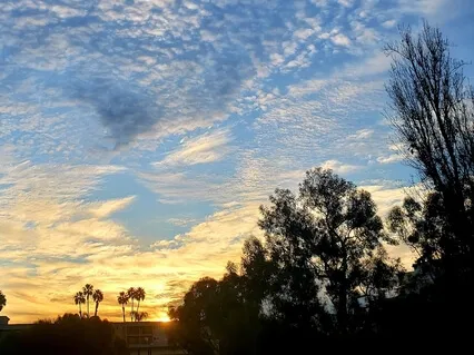 Body Scan To Raise Awareness