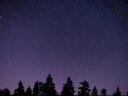 Body Scan Before Bed