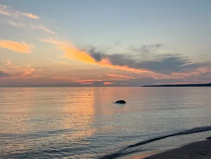 Body Scan Before Sleep