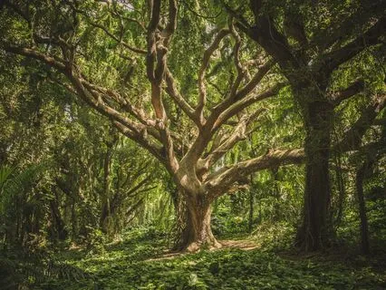 Body Scan, Breathwork, Affirmations For Self-Acceptance