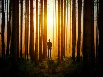 Body Scan | Slow Down & Build Emotional Resilience