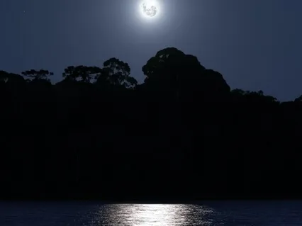 Body Scan: Cool Moonlight