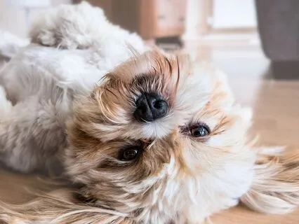 Body Scan: Cultivating Presence With Self-Kindness