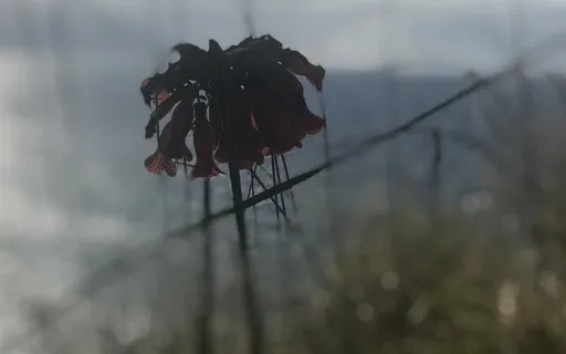 Body Scan - De-Stress & Focus