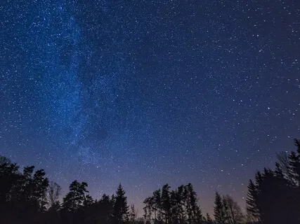 Body Scan - Ease Tension