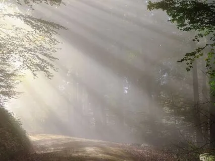 Body Scan For Awareness, Gratitude & Self-Love