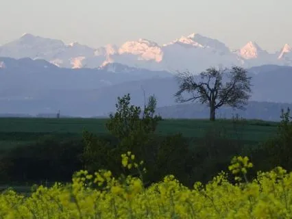 Body Scan For Deep Awareness And Connection