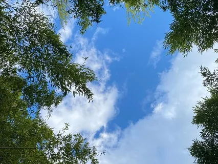 Body Scan for Deep Relaxation