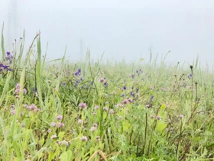 Body Scan For Deep Relaxation