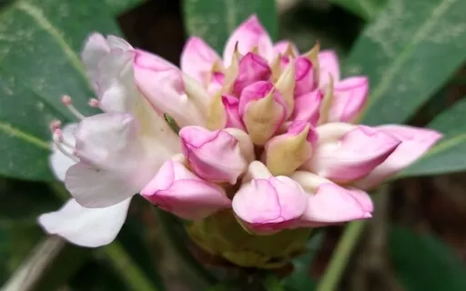 Body Scan For Deep Restoration