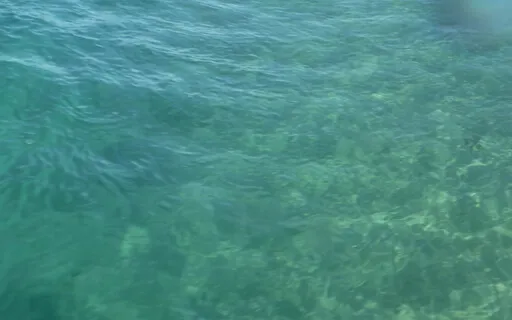 Body Scan For Focus & Relaxation