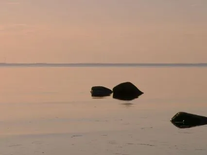 Body Scan For Grounding And Intention