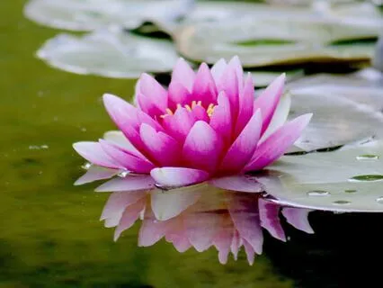 Body Scan For Healing, Stress Relief, And/Or Sleep