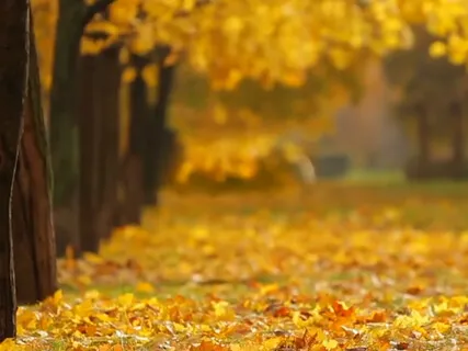 Body Scan For Relaxation