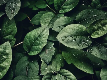 Body Scan For Relaxation