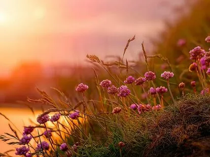 Body Scan For Relaxation