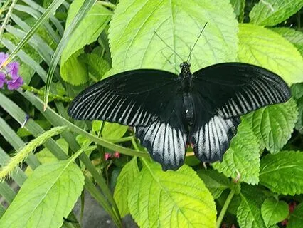Body Scan For Sensing What Emotions Feel Like In Our Body