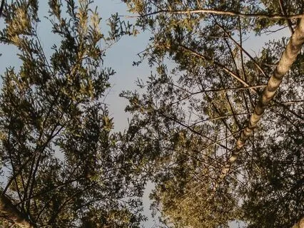 Body Scan For Stress Reduction And Relaxation