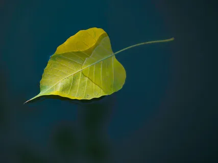 Body Scan For Stress Relief 