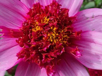 Body Scan For The Relief Of Anxiety And Tension