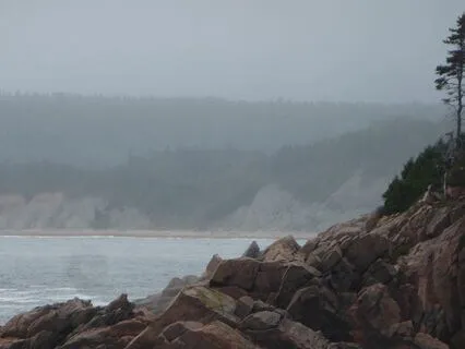 Body Scan From Top To Bottom!