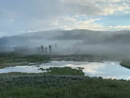 Body Scan Gratitude Practice