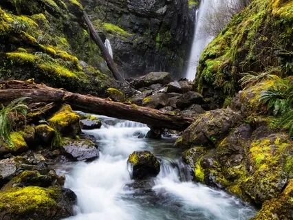 Body Scan In The Wild