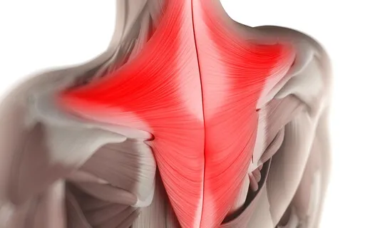 Body Scan | Interoceptive Awareness | Noting Contraction