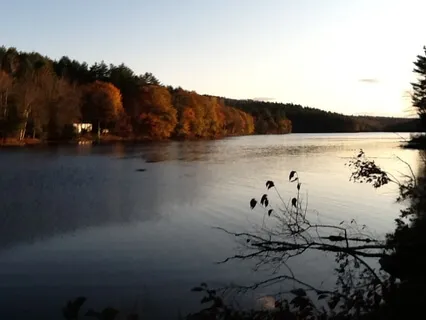 Body Scan into Breath Awareness