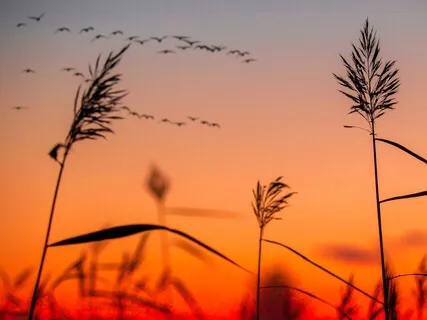 5 Minute Body Scan For Stress Release