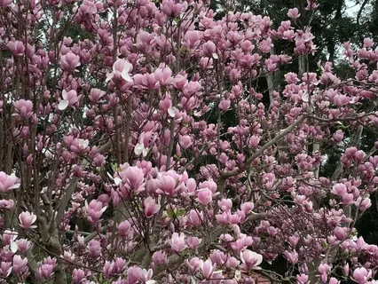 Long Body Scan For Embodying The Moment