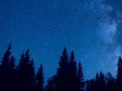 Body Scan (MBSR Style)