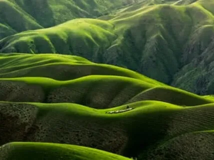 Body Scan Meditation