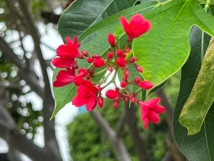 Body Scan Meditation - 10Min