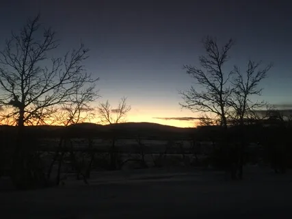 Body Scan Meditation