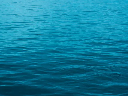 Body Scan Meditation